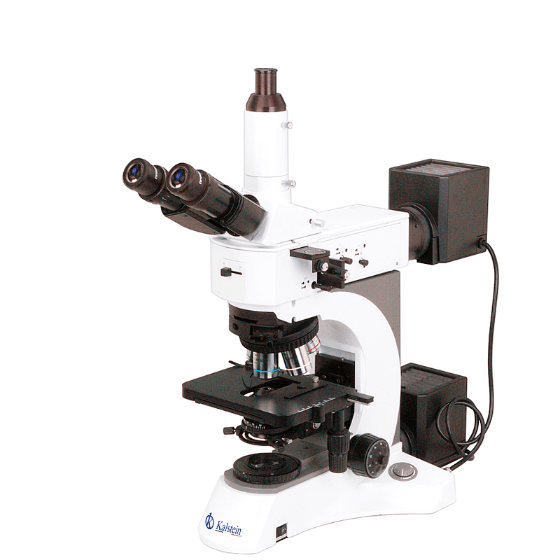 Understanding Result Interpretation and Measurement Reading with the YR0256 Microscope