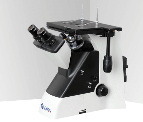 How to Interpret Measurements with the YR0259 Trinocular Microscope