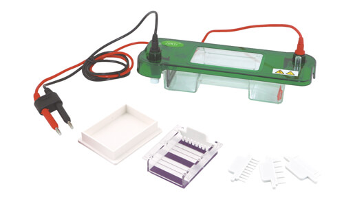 Horizontal Electrophoresis: Common Mistakes and How to Avoid Them in Daily Operation