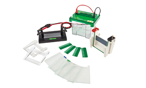 Sector Adaptations for the Mini-Protean Vertical Electrophoresis Cell YR03425