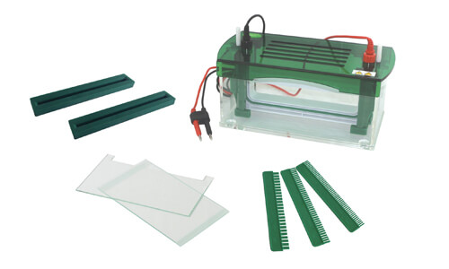 Sector Adaptations for the YR03428 Vertical Electrophoresis Tank
