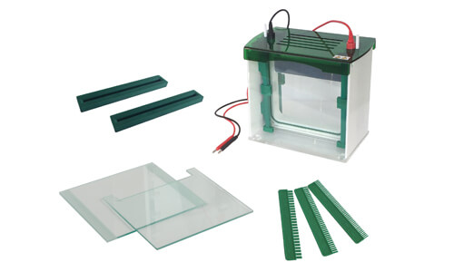 Sector Adaptations with the YR03429 Vertical Gel Electrophoresis Cell