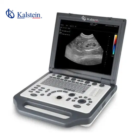 How to Integrate Veterinary Color Doppler Systems with LIMS for Enhanced Data Flow