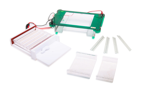 How to Improve the Efficiency of Electrophoresis in the Laboratory