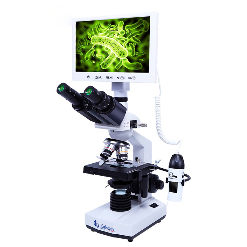 Microscope: Halogen vs. LED | Kalstein
