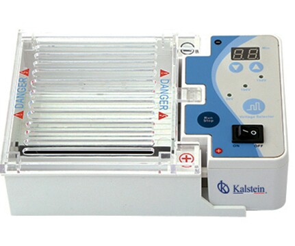 Horizontal and vertical electrophoresis: Differences