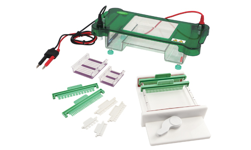 Electrophoresis chamber
