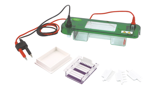 YR03415 Horizontal Electrophoresis Cell