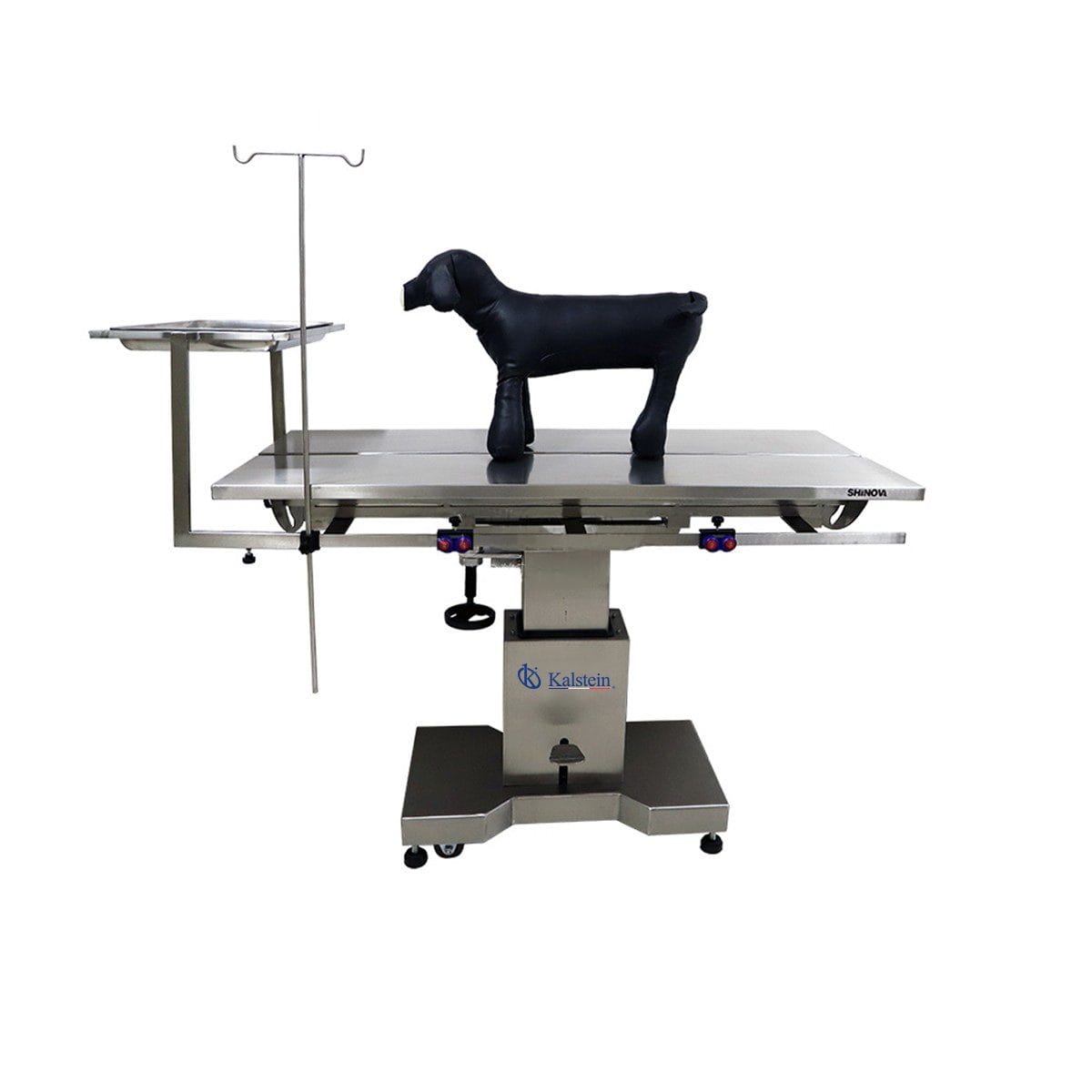 Revealing the Revolution in Equine Care: Equine Surgery Tables - Your Ultimate Ally