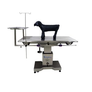 How to Set Up a Veterinary Operating Table for Different Types of Surgery