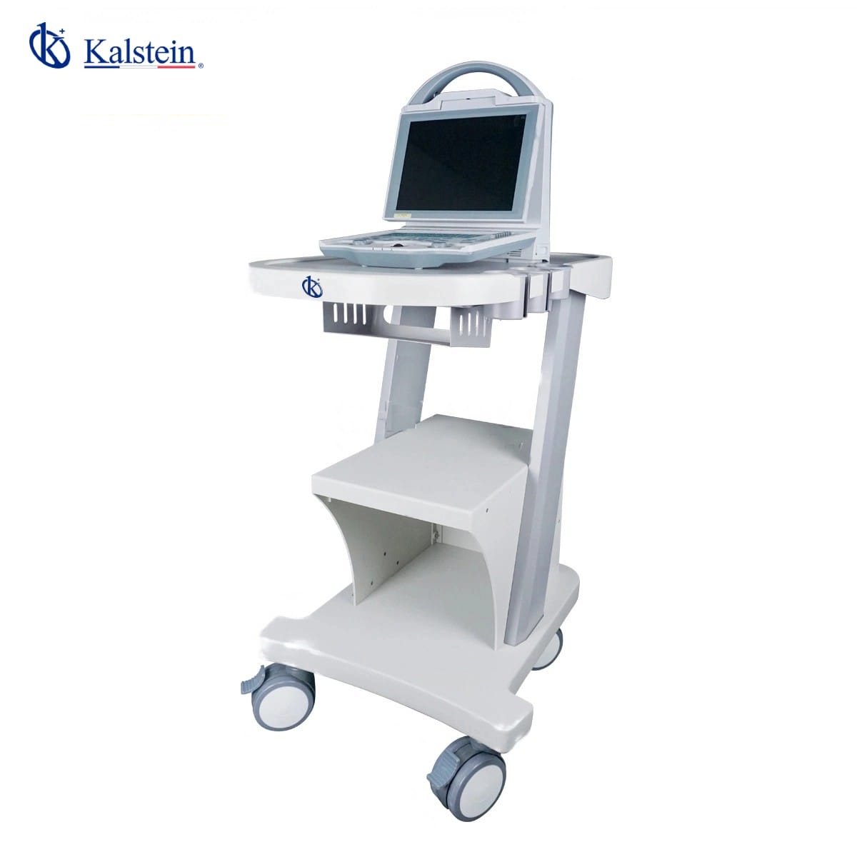 Discovering the World of Veterinary Ultrasound: An In-Depth Look at Kalstein's Offerings