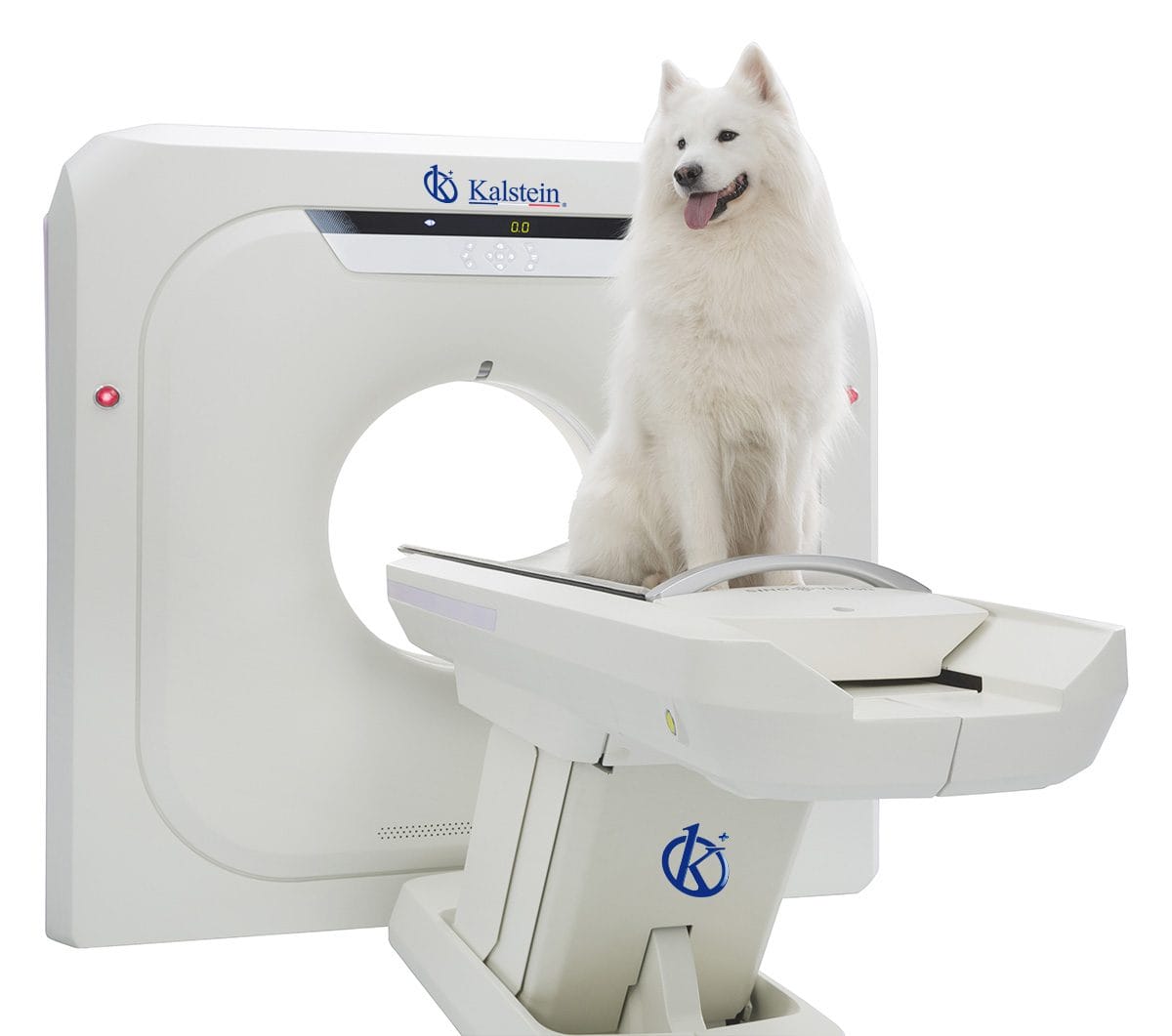 Veterinary CT Scanner: High-Resolution Tomography Images for Diagnostics