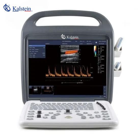 Exploring the World of Veterinary Ultrasound: A Comprehensive Guide
