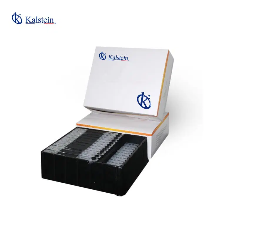 Solutions in Laboratory Consumables: Optimize the Efficiency of Your Experiments
