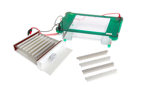 Innovative Horizontal Electrophoresis: Comparing Kalstein's YR03421 and Bio-Rad's Wide Mini-Sub Cell GT