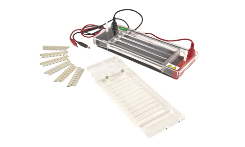Innovative Solutions in Horizontal Electrophoresis: A Comparison Between Kalstein and Hoefer