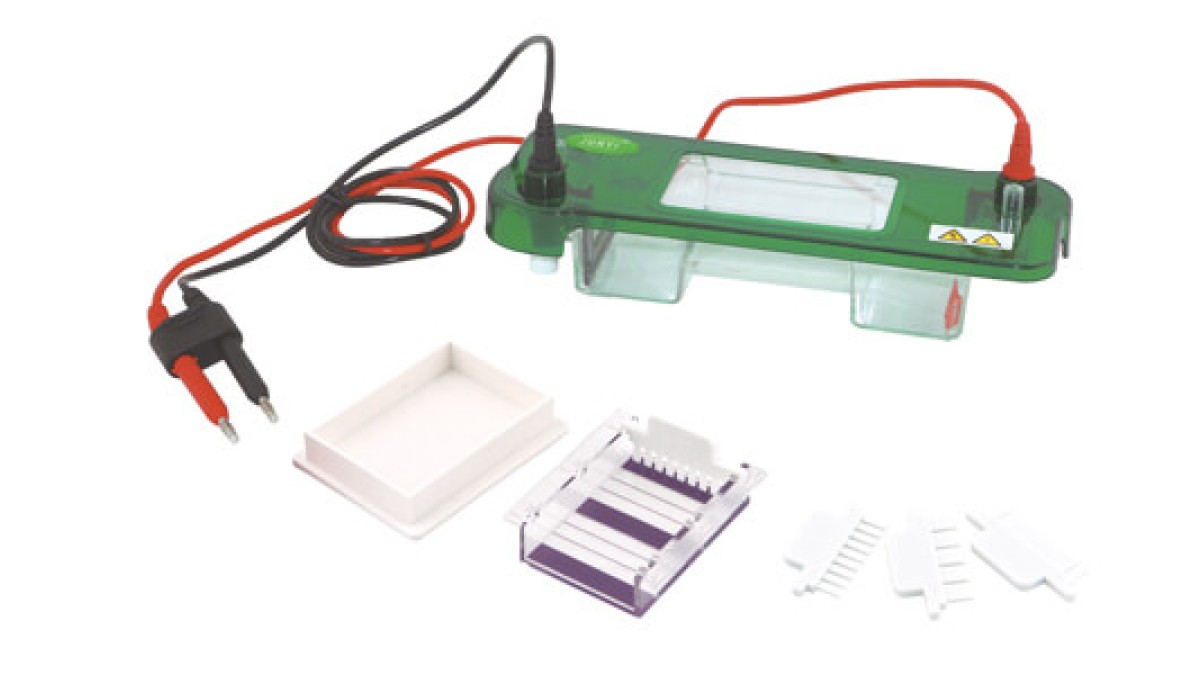Horizontal Electrophoresis: Common Mistakes and How to Avoid Them in Daily Operation